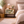Neatly arranged bedroom with a nightstand, bed, and decorative elements.