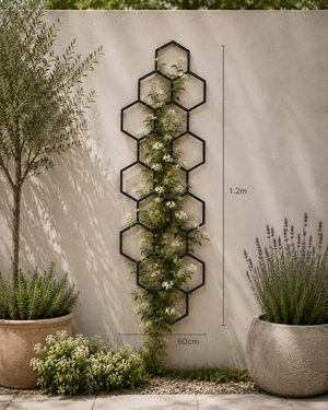 Black metal hexagonal trellis wall garden stake with climbing green ivy and small white flowers, shown mounted on a beige stucco wall between potted plants, with height and width measurement annotations.