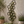 A black metal hexagonal trellis wall decor piece with climbing green vines and small white flowers, mounted on a textured beige stucco wall in a garden setting with potted plants.